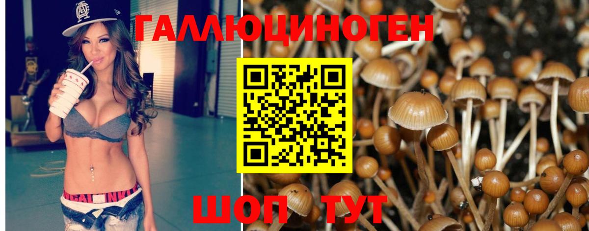 купить наркотик  Галлюциногенные грибы MAGIC MUSHROOMS  Междуреченск  Вход с VPN  Псилоцибиновые грибы мухоморы 